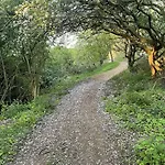 Walkers Way *