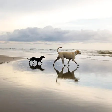 Walkers Way 파일리